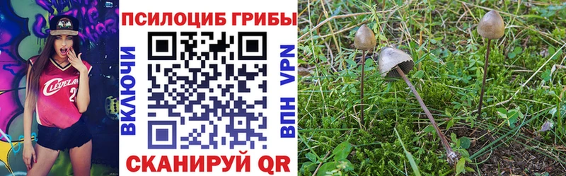 Галлюциногенные грибы Psilocybe  omg ссылка  Старый Оскол  даркнет сайт 