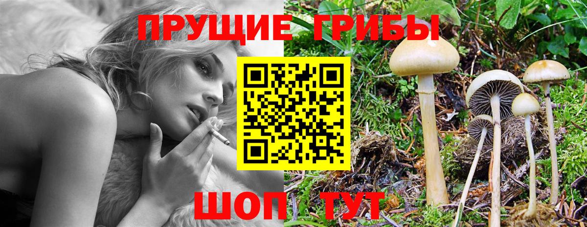 Галлюциногенные грибы Psilocybine cubensis  Вход с VPN  Старый Оскол 