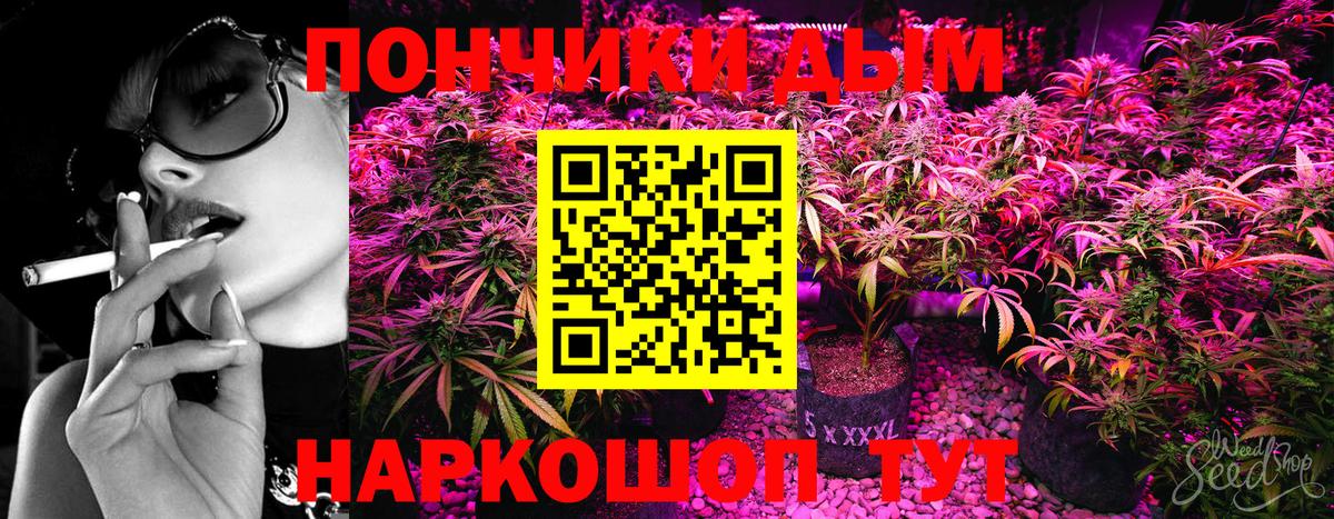 Бошки Шишки семена  Вход с VPN  Старый Оскол  Канабис AK-47  Шишки марихуана тримм  Каннабис план 